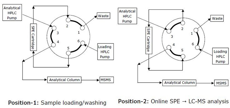 Configuration of the online SPE-LC-MS system. Configuration of the online SPE-LC-MS system.