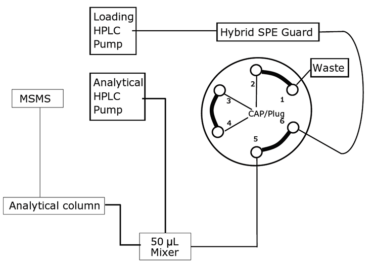 The setup of on-line HybridSPE® cartridge with LC/MS