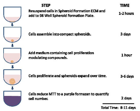 Steps Comprising the 3-D Spheroid Colorimetric Proliferation/Viability Assay Steps Comprising the 3-D Spheroid Colorimetric Proliferation/Viability Assay