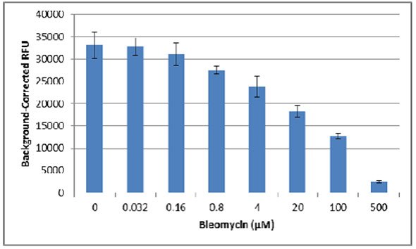 Background Corrected RFU for Cells Treated with Bleomycin