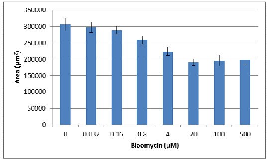 Spheroid bleomycin area Spheroid bleomycin area