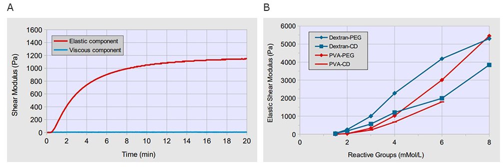 Hydrogel stiffness can be controlled using TrueGel3D synthetic hydrogels. A) Formation of hydrogel after mixing Dextran-Maleimide and PEG-Thiol crosslinkers at a final concentration of 3 mMol/L for both components. Within one minute after mixing a hydrogel forms which can be seen by the increasing elastic component of the shear modulus of the material. In contrast, the viscous component of the shear modulus remains low, below 10 Pascal (Pa), indicating the formation of a highly elastic hydrogel with only a small viscous share. B) Soft hydrogels with an elastic shear modulus of 20-40 Pa can be generated by mixing the polymer components at a final concentration of each reactive group of 1.5 mMol/L. Stiffer hydrogels with an elastic shear modulus of up to 4000-6000 Pa can be obtained at higher concentrations of reactive groups >6 mMol/L. TrueGel3D synthetic hydrogels