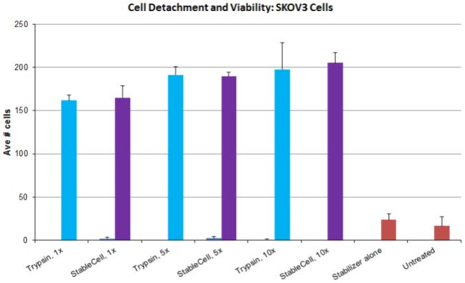 Average number of cells detached using both our standard trypsin solutions (Product No. T3924, T4049, T4174) compared with StableCell™ Trypsin solutions (Product No. T2601, T2605, T2610). Cell detachment and viability