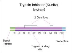 Trypsin inhibitor (Kunitz) (soybean)