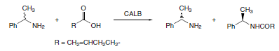 CALB catalyzes the enantioselective acylation of 1-phenylethylamine with 4-pentenoic acid