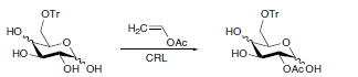 Also, Candida rugosa lipase (CRL) shows activity in Ionic Liquids. Methyl-6-O-trityl-glucosides and galactosides can be acylated enzymatically by CRL
