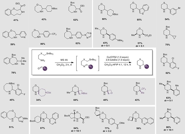 snap Reagents snap Reagents