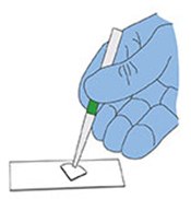 Placing filter section onto a cleaned 1" x 3" microscope slide.