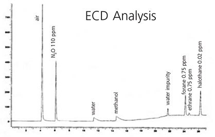 MS Detection MS Detection