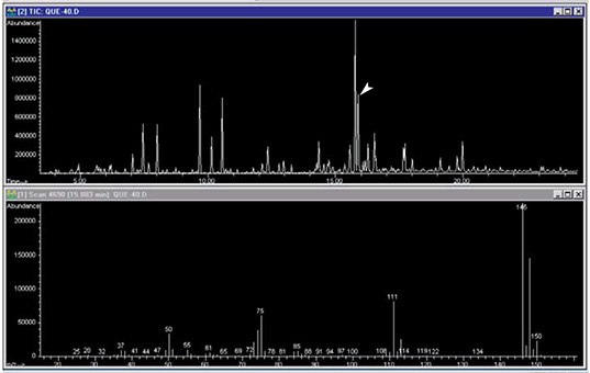 TIC Chromatogram of Indoor Air Sampling
