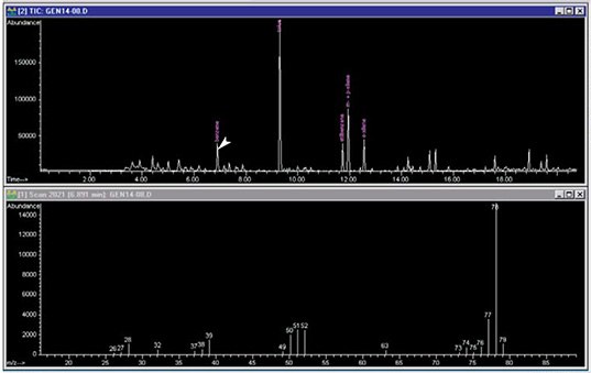 TIC Chromatogram of Outdoor Urban Sampling