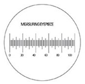 A standard stage micrometer.