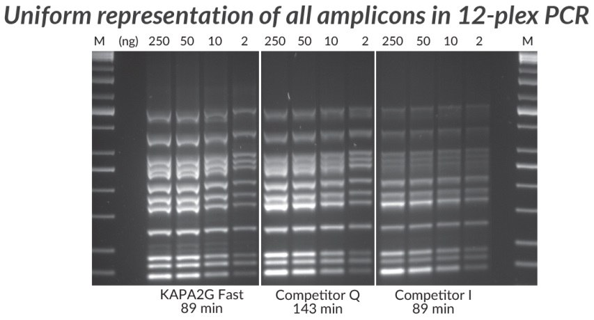 *Multiplex PCR (12-plex) performed with the KAPA2G Fast Multiplex PCR Kit, Competitor Q, and Competitor I. Achieving uniform representation of all amplicons in a complex multiplex assay is a challenge due to amplification bias— a result of differences in amplicon length, secondary structure, and priming efficiency. Reactions (25 μL) contained 1X PCR Master Mix (KAPA and Competitor Q) or 1X PCR Buffer, 3 mM MgCl2, 0.2 mM of each dNTP and 1 U of hot-start Taq DNA Polymerase (home brew multiplex reagents, with Competitor I). Human genomic DNA was used as template (250 – 2 ng per reaction), and primers were supplied at 0.2 μM each. Cycling was performed according to manufacturers’ recommendations (30 cycles). Multiplex PCR (12-plex) performed with the KAPA2G Fast Multiplex PCR Kit, Competitor Q, and Competitor I.