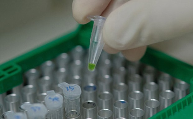 A gloved hand holding a test tube with a green substance over a rack of other test tubes in a laboratory setting.