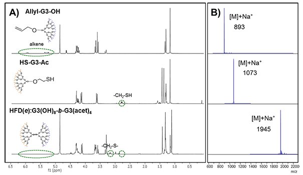 UV-initiated TEC coupling of third generation dendrons to obtain the block heterofunctional dendrimer HFD(e):G3(OH)<sub>8</sub>-b-G3(acet)<sub>4</sub> , monitored by A) <sup>1</sup>H-NMR and B) MALDI-TOF<sup>14</sup> UV-initiated TEC coupling of third generation dendrons