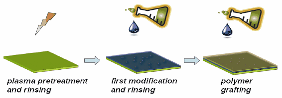 Procedure for standard surface modification Procedure for standard surface modification