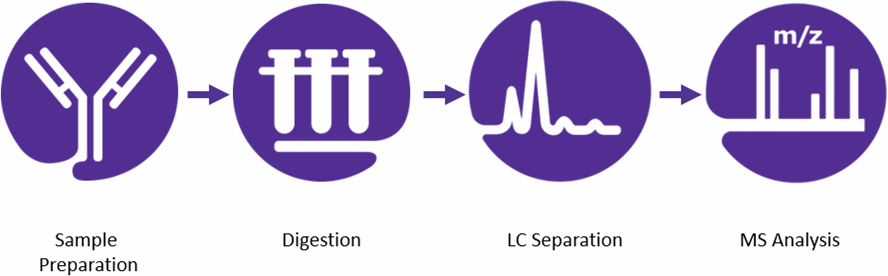 Workflow for Peptide Mapping