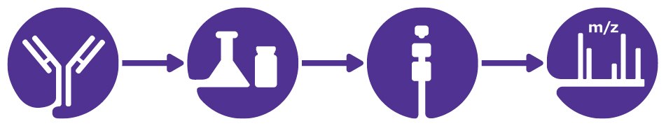 Image of workflow for antibody aggregate and fragment analysis.