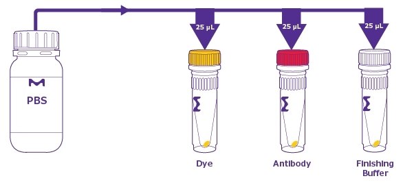 Spin down the ColorWheel® dye, ColorWheel® antibody, and finishing buffer and then resuspend. 