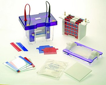 Blotting and Vertical Electrophoresis System
