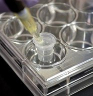 drilling-9mm-hole drilling-9mm-hole