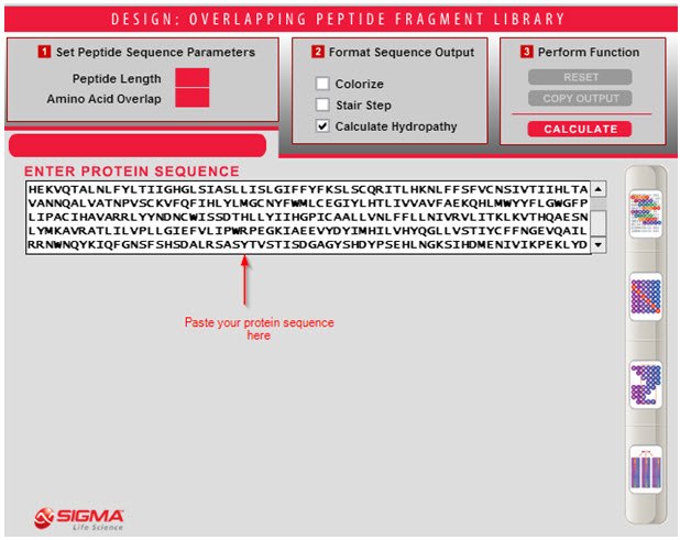 Protein Sequence Protein Sequence