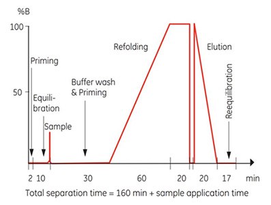 Theoretical gradient in On-column Refolding HisTrap Application Template