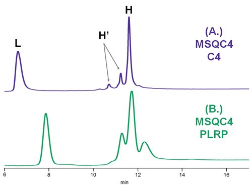 Comparison of C4 and PLRP columns using standard reduced mAb, where L = light chain; H = heavy chain; H’ = oxidized heavy chain. Comparison of C4 and PLRP columns using standard reduced mAb