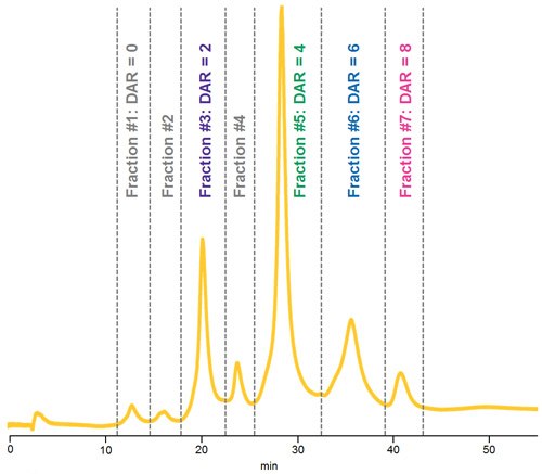 HIC separation of native ADC Mimic demonstrating fractions collected for LC-UV-MS analysis. HIC separation of native ADC Mimic demonstrating fractions collected for LC-UV-MS analysis
