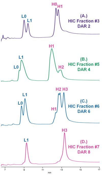 Reversed phase separation of collected HIC fractions pertaining to (A.) DAR 2, (B.) DAR 4, (C.) DAR 6, and (D.) DAR 8 ADC Mimic species, which were deglycosylated and reduced prior to LC-UV-MS analysis. Reversed phase separation of collected HIC fractions pertaining