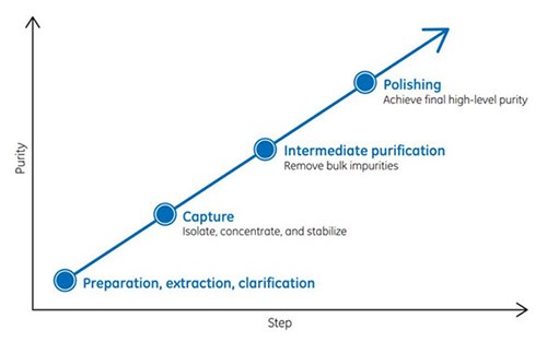 Preparation and CIPP. Preparation and CIPP.