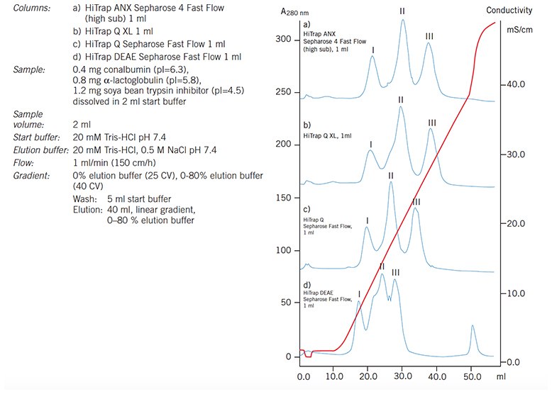 Separation of conalbumin (I), a-lactalbumin (II) and soya bean trypsin inhibitor (III) on a range of anion exchange HiTrap columns demonstrates the difference in selectivity according to the anion exchange group. Separation of conalbumin
