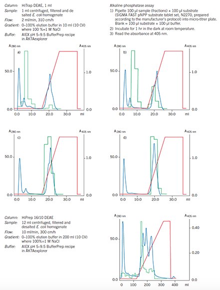 Optimization and scale up on DEAE Sepharose Fast Flow. Optimization and scale up on DEAE Sepharose Fast Flow