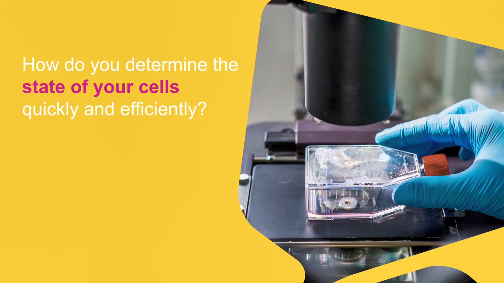 Cell Analysis Best Practices Cell Analysis Best Practices