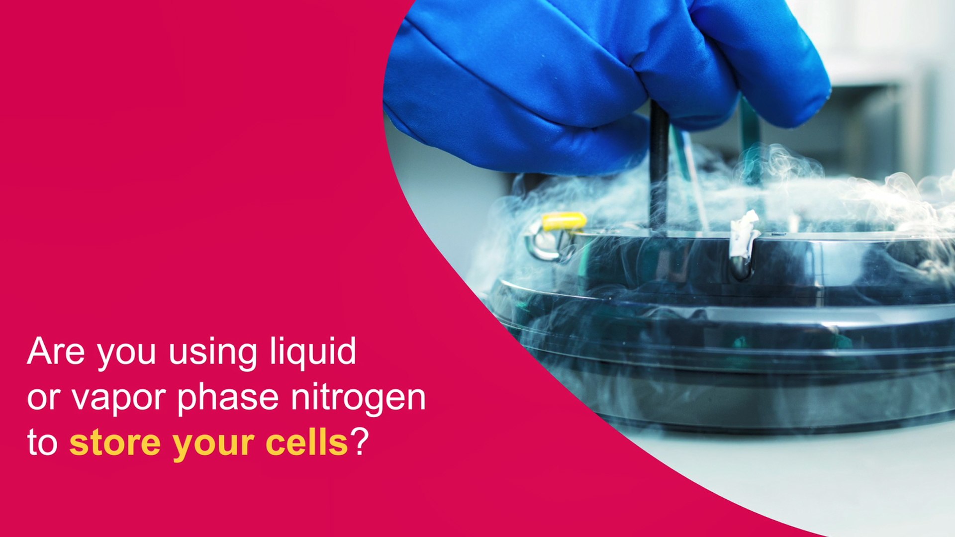 Cell Culture Freezing Tips Cell Culture Freezing Tips