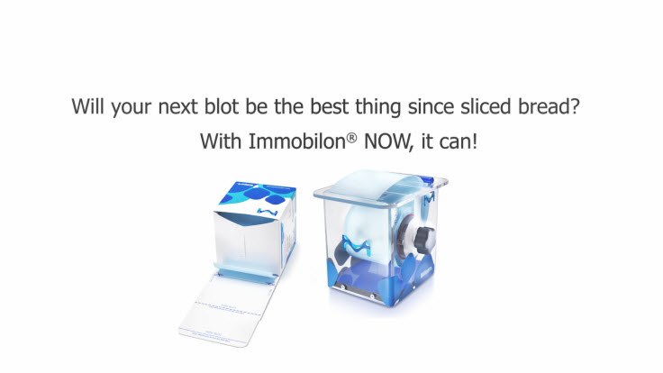 Western Blotting membranes with our Immobilon<sup>®</sup> NOW format Western Blotting membranes with our Immobilon<sup>®</sup> NOW format