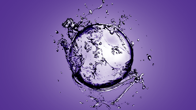 <p>The Forgotten Variable: Laboratory Water Purity and its Impact on your Experiments</p>
Water drop splash on purple background