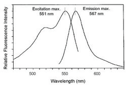 PKH26 Red Fluorescent Cell Linker Kit for General Cell Membrane Labeling Distributed for Phanos Technologies