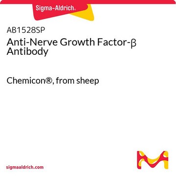 Anti-Nerve Growth Factor-β Antibody Chemicon®, from sheep