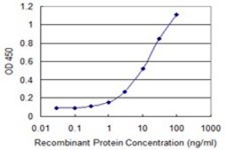 Monoclonal Anti-UGCG antibody produced in mouse clone 1E5, purified immunoglobulin, buffered aqueous solution