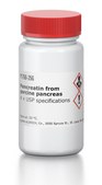 Pancreatin from porcine pancreas 4 × USP specifications