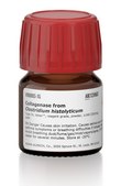 Collagenase from Clostridium histolyticum Type IV, Vetec™, reagent grade, powder, ≥160 CDU/mg solid