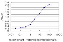 Monoclonal Anti-POLD3 antibody produced in mouse clone 3E2, purified immunoglobulin, buffered aqueous solution