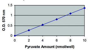 Pyruvate Assay Kit sufficient for 100 colorimetric&nbsp;or&nbsp;fluorometric&nbsp;tests