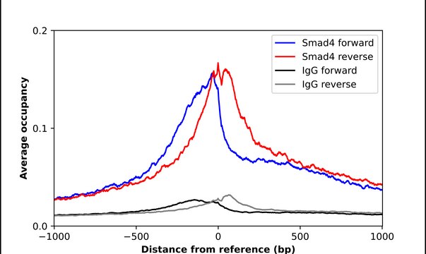Anti-SMAD4 antibody produced in rabbit Prestige Antibodies® Powered by Atlas Antibodies, affinity isolated antibody, buffered aqueous glycerol solution