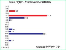 Brain PI(4)P Avanti Research™ - A Croda Brand 840045P, powder