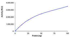 HDAC2, active, GST tagged human recombinant, expressed in baculovirus infected Sf9 cells, ≥70% (SDS-PAGE), buffered aqueous glycerol solution