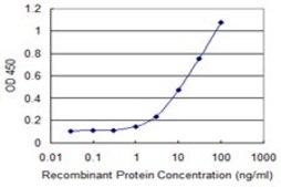 Monoclonal Anti-HDAC6 antibody produced in mouse clone 3A6, purified immunoglobulin, buffered aqueous solution