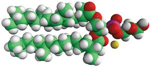 4ME 16:0 PG 1,2-diphytanoyl-sn-glycero-3-phospho-(1′-rac-glycerol) (sodium salt), chloroform