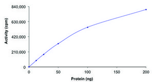 LYN A, active, GST tagged human PRECISIO®, recombinant, expressed in baculovirus infected Sf9 cells, ≥70% (SDS-PAGE), buffered aqueous glycerol solution